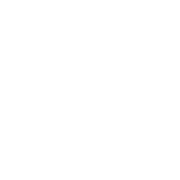 phone-icon